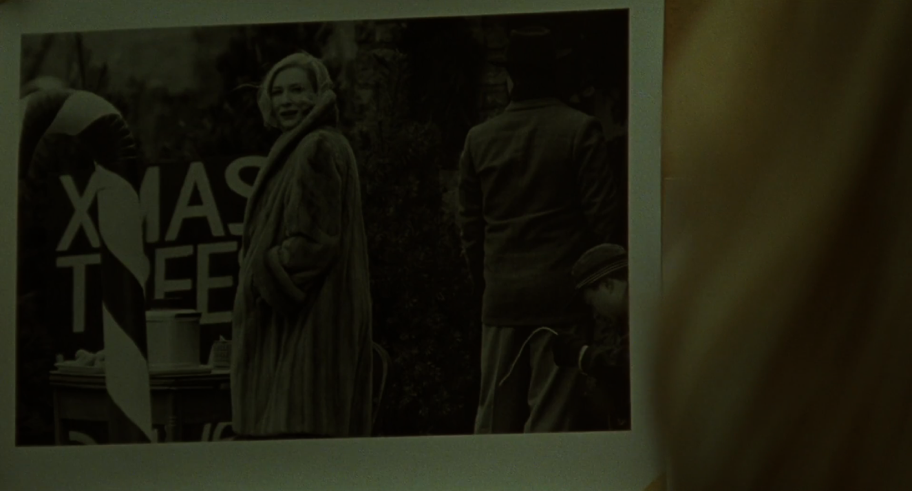 Fig. 31: The tree lot photograph in Therese’s kitchen in CAROL (Todd Haynes, USA 2015).