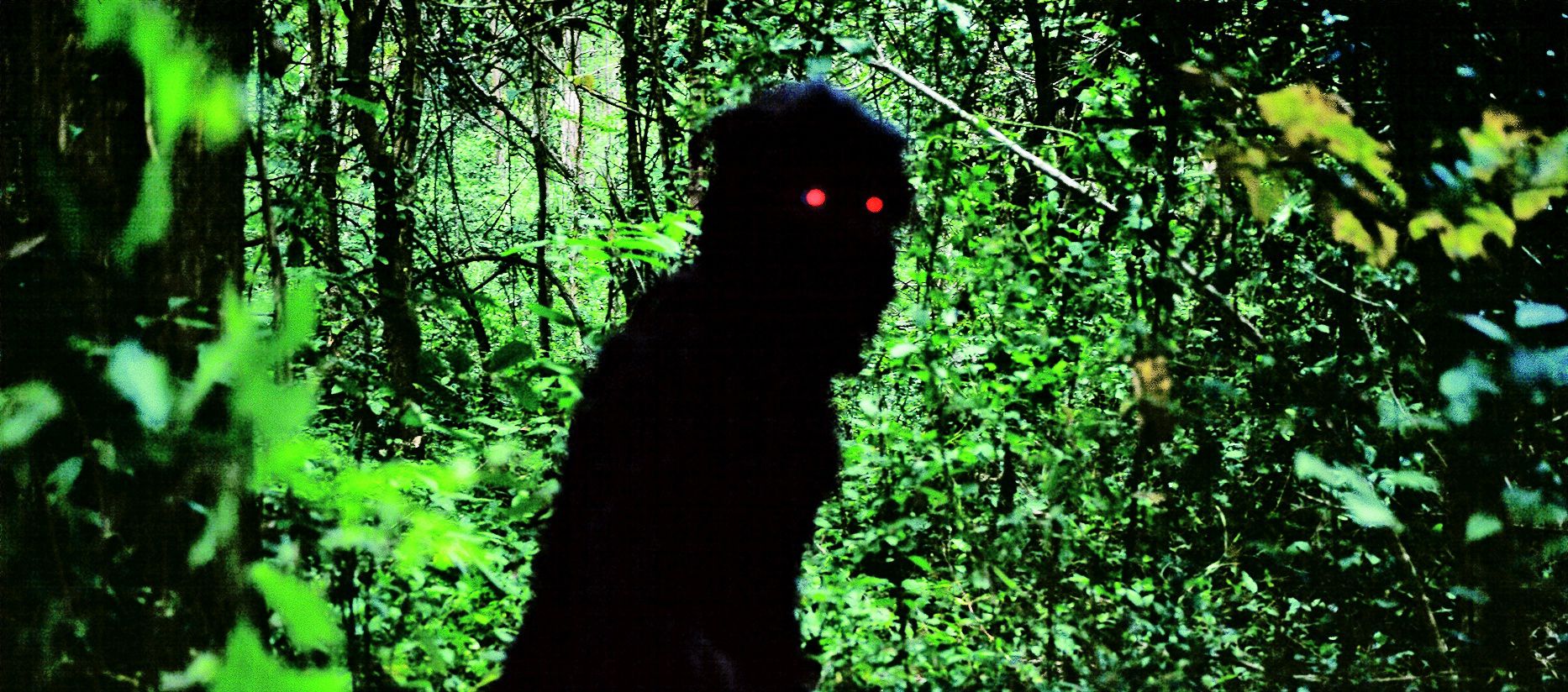 Fig. 8: LOONG BOONMEE RALEUK CHAT (Apichatpong Weerasethakul, TH/UK/FR/DE/ES/NL 2010)